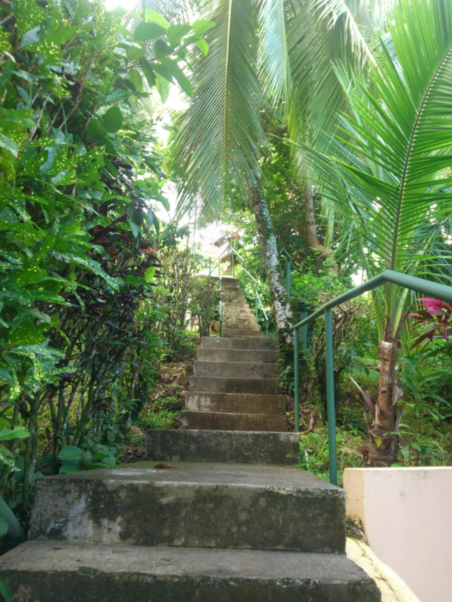 Karahe Beach Hotel Manuel Antonio Camera foto
